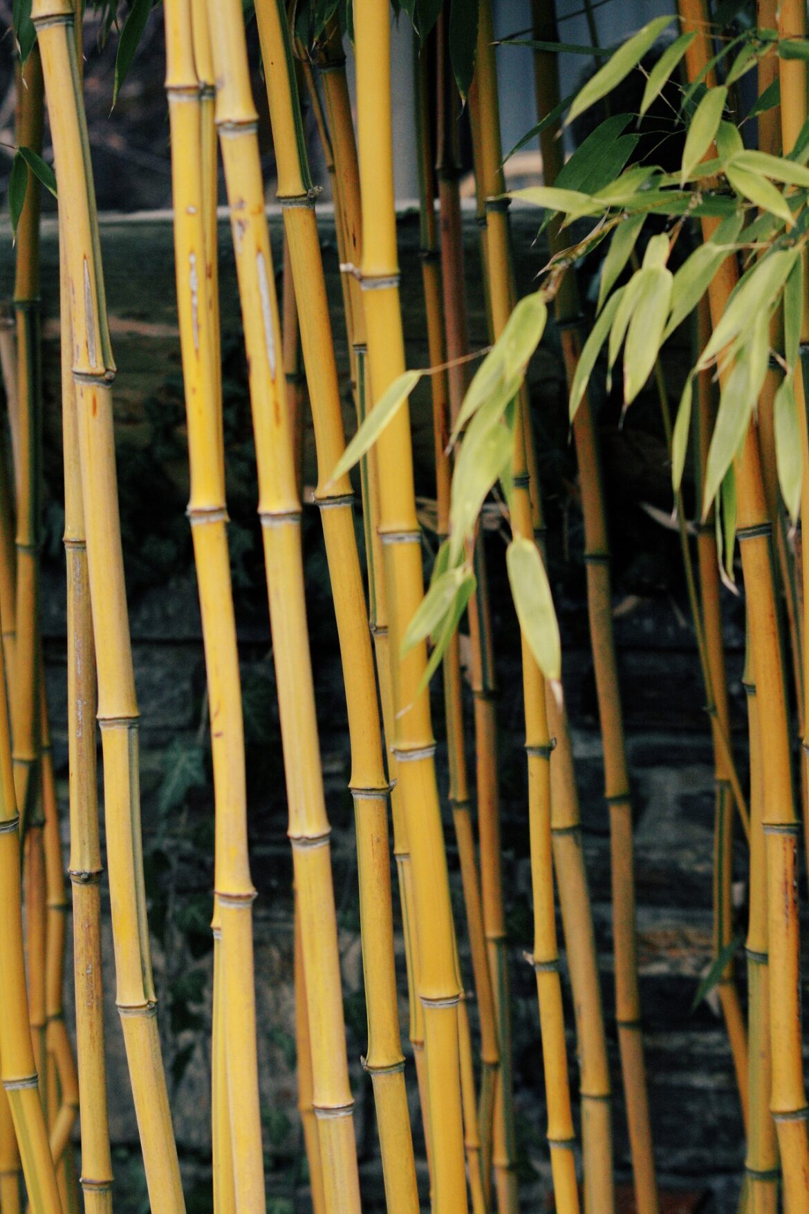 Inredning med Tine K Home bambumöbler